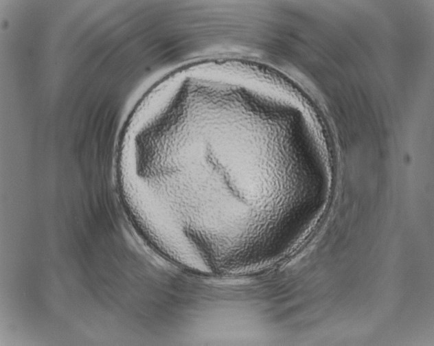 X0000067381296200604211558