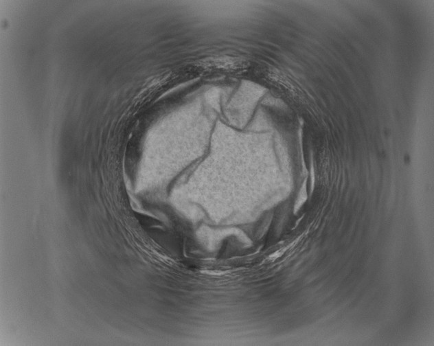 X0000067381297200604211557