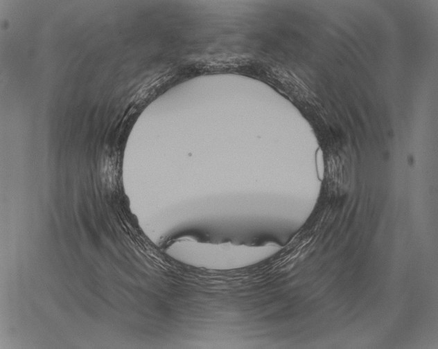 X0000067381300200604211557