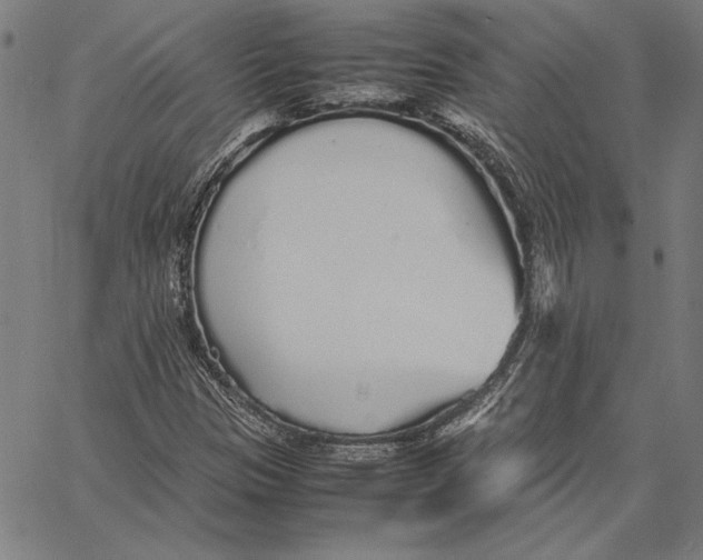 X0000067381305200604211557