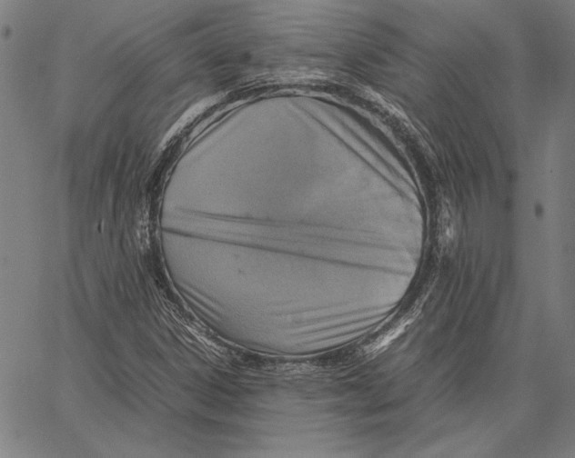 X0000067381306200604211557