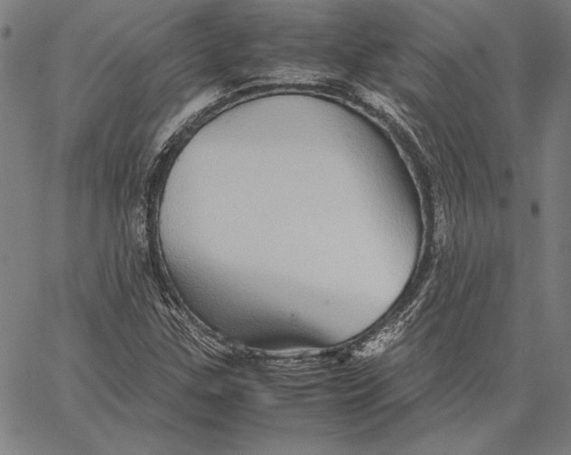 X0000067381307200604211557