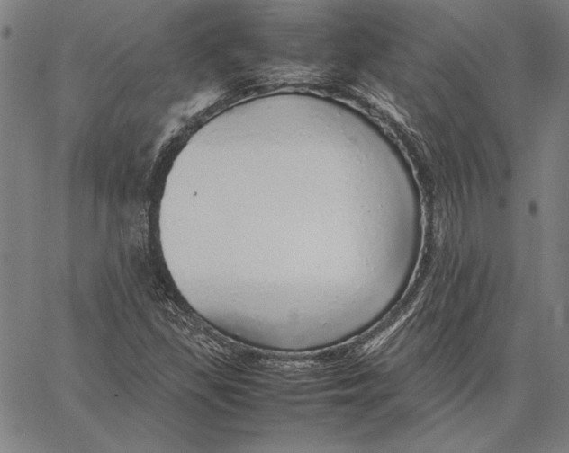 X0000067381309200604211557