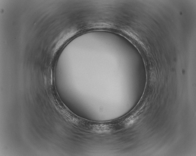 X0000067381317200604211558