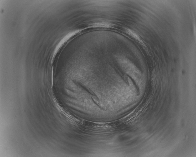 X0000067381323200604211558