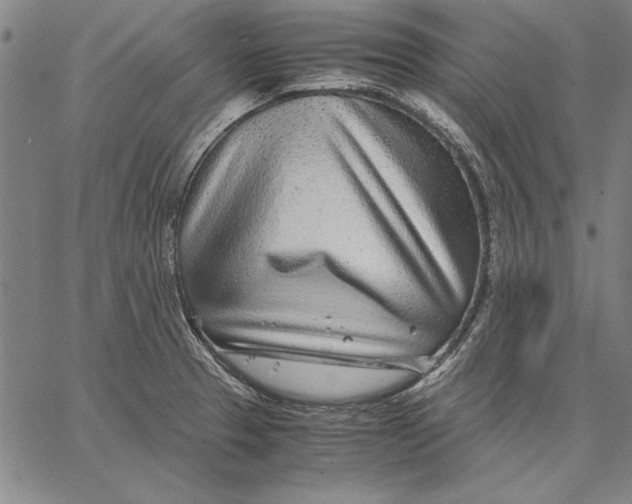 X0000067381329200604211558