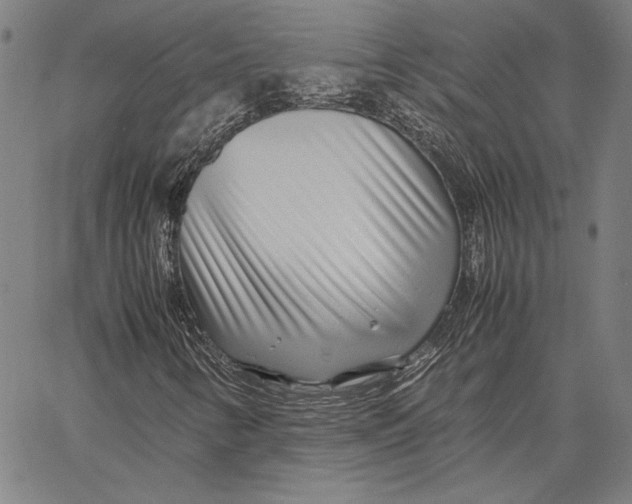 X0000067381346200604211557