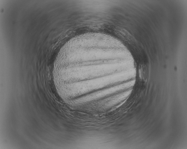 X0000067381347200604211557