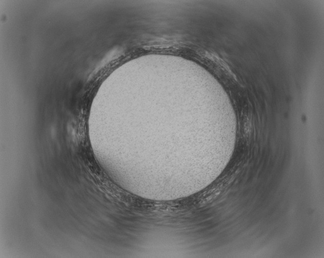 X0000067381350200604211557