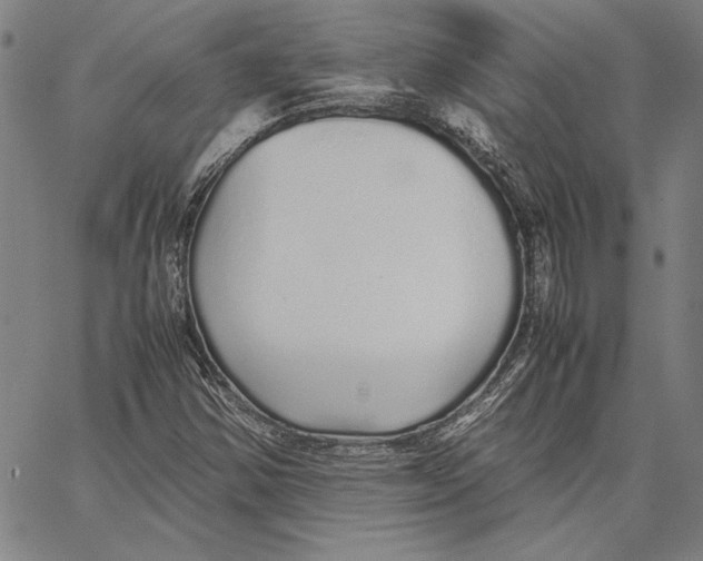 X0000067381354200604211557