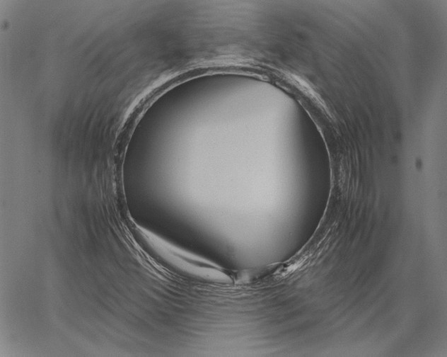 X0000067381356200604211557