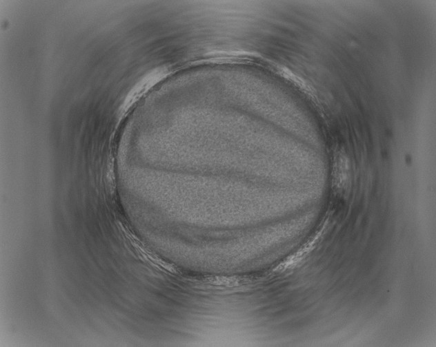 X0000067381362200604211557
