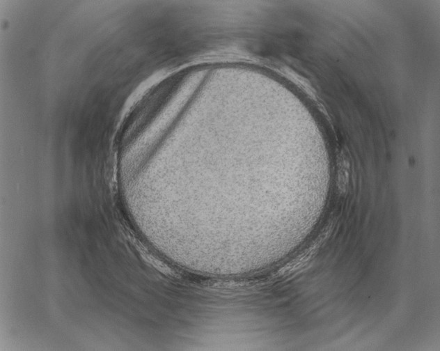 X0000067381366200604211557