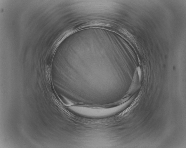 X0000067381369200604211557