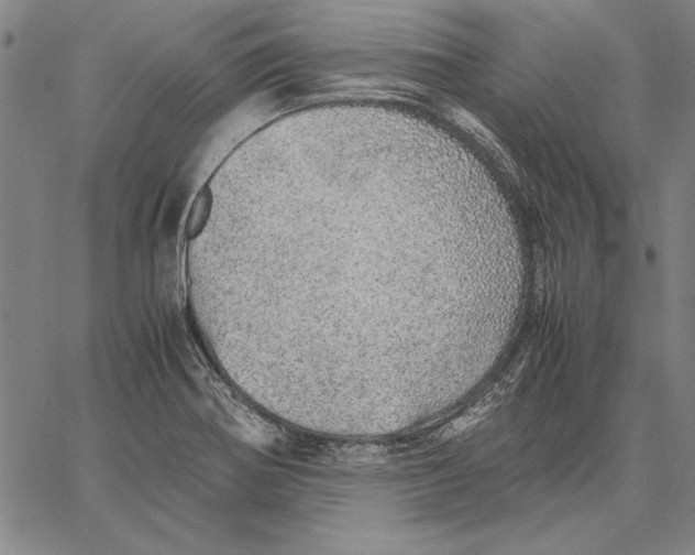 X0000067381370200604211557