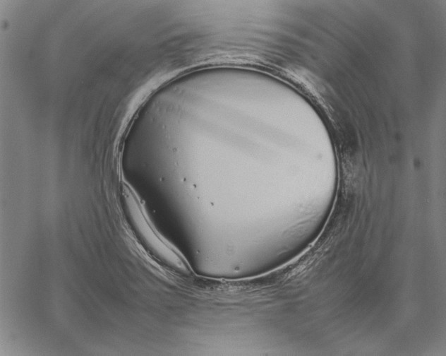 X0000067381371200604211557