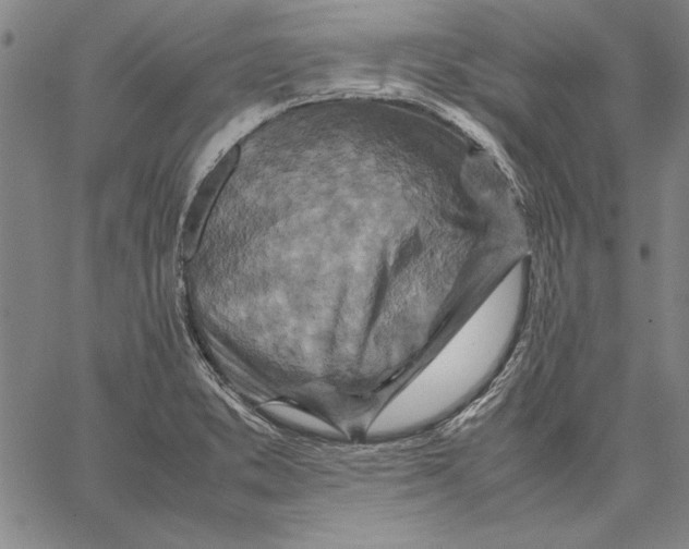 X0000067381373200604211557