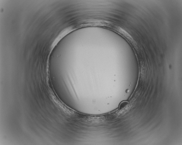 X0000067381378200604211557