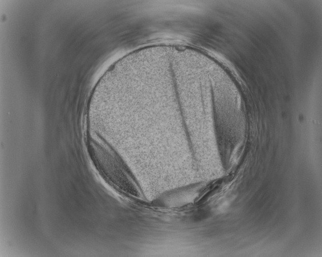 X0000067381383200604211557