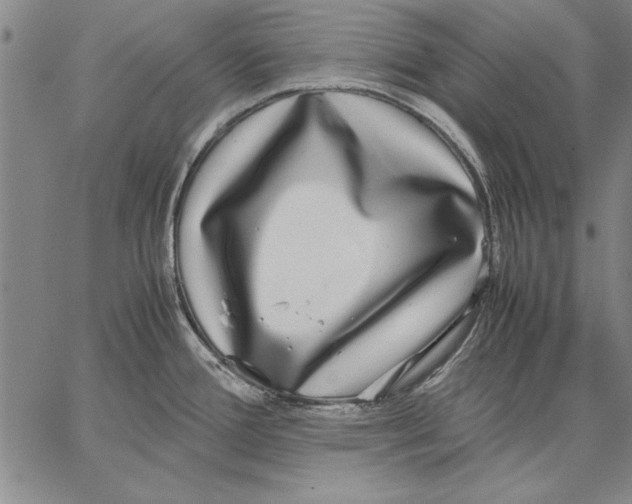 X0000067381388200604211557
