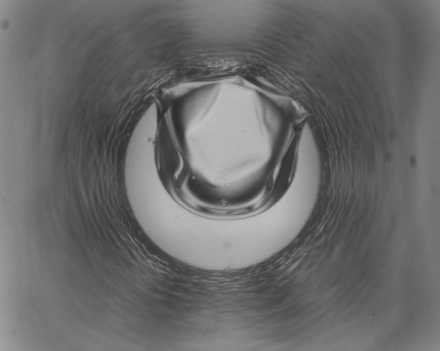 X0000067381394200604211556