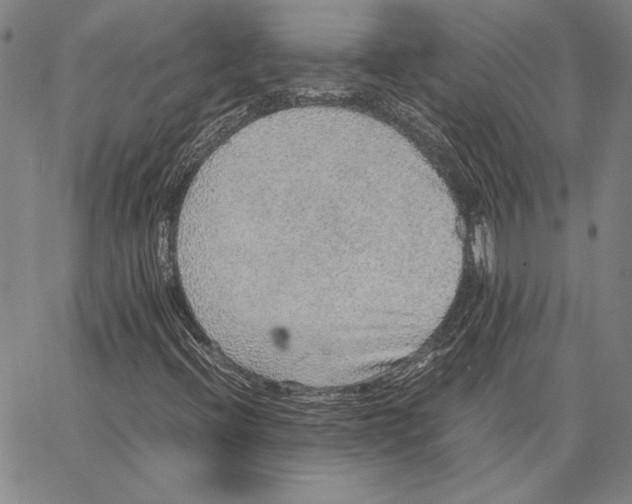 X0000067381396200604211556