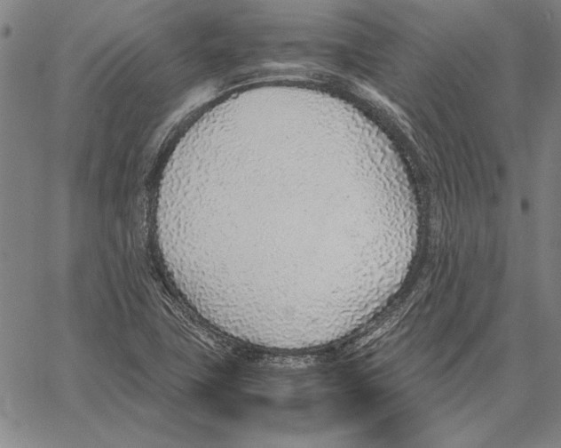 X0000067381411200604211556