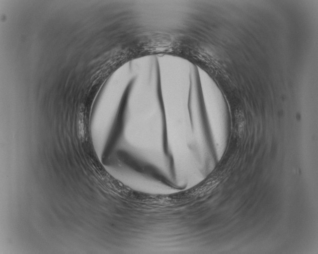 X0000067381442200604211556