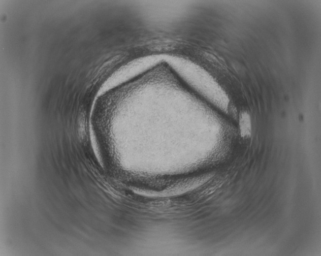 X0000067381444200604211556