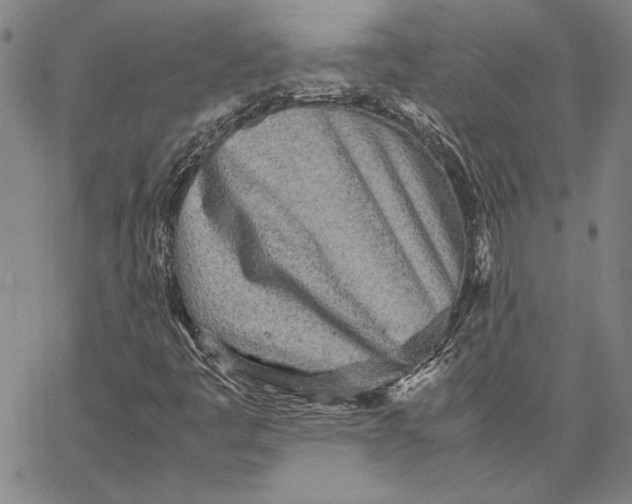 X0000067381445200604211556