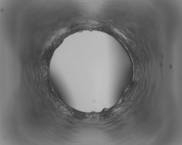 X0000067381447200604211556