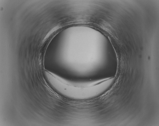 X0000067381450200604211556