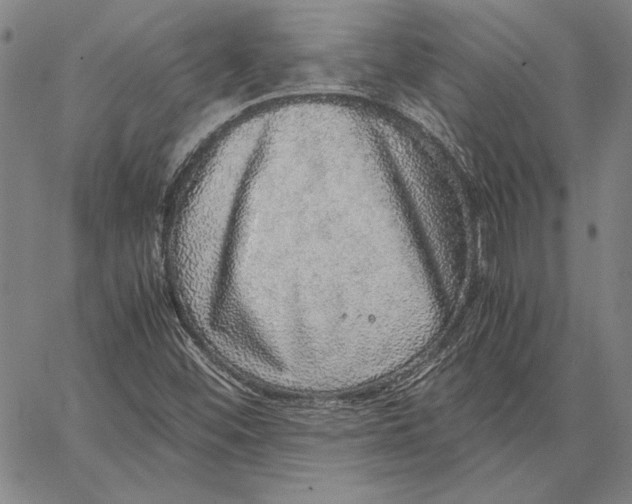 X0000067381452200604211555