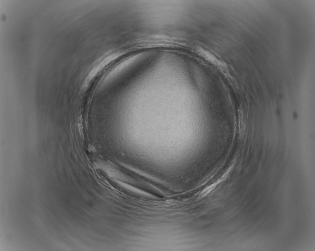 X0000067381453200604211555