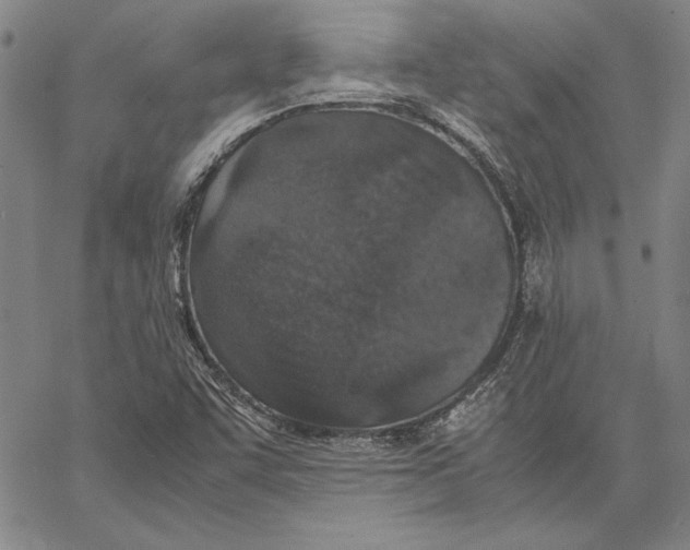 X0000067381455200604211555