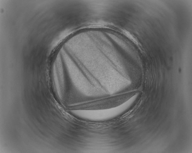 X0000067381456200604211555