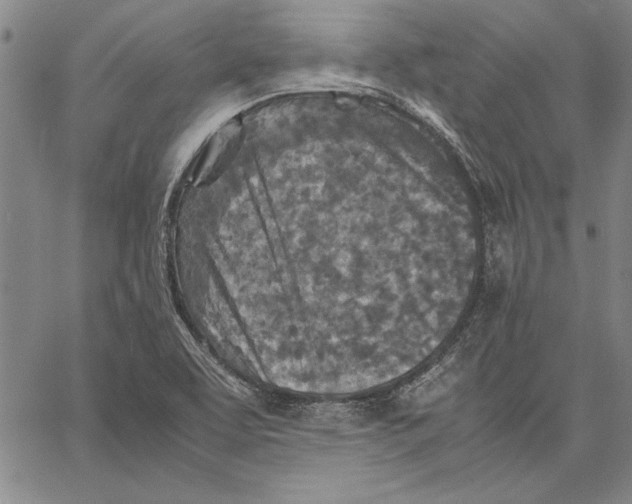 X0000067381463200604211555