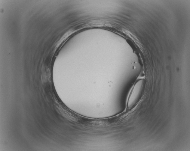 X0000067381465200604211555