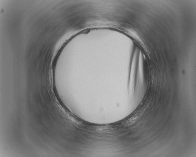 X0000067381472200604211555
