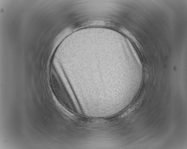 X0000067381475200604211555