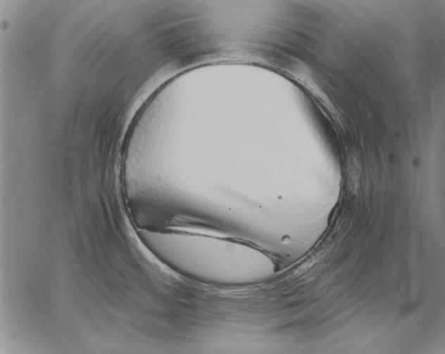 X0000067381484200604211555