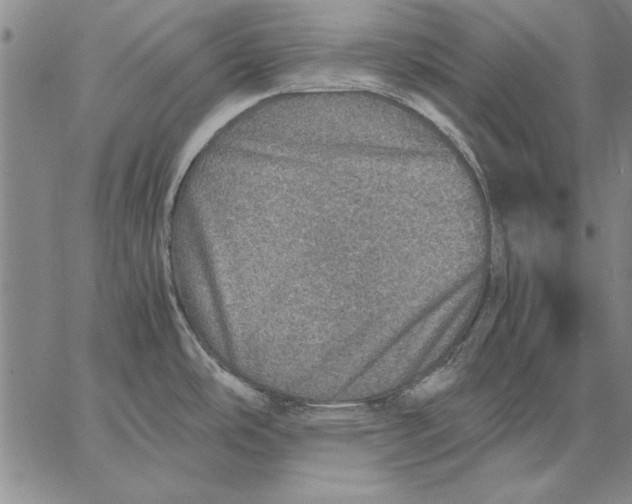 X0000067381486200604211555