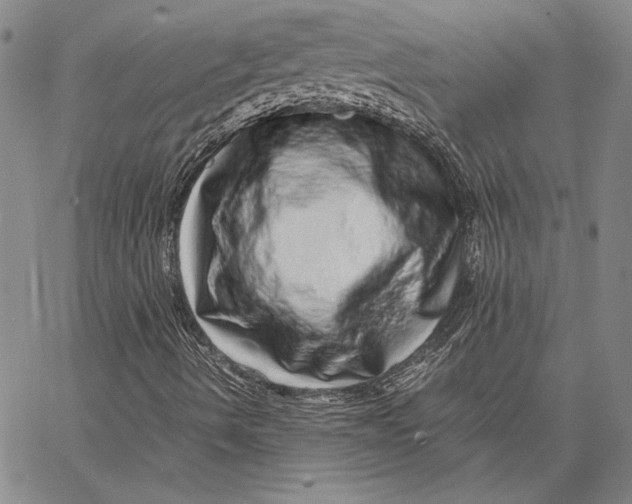 X0000067381490200604211554