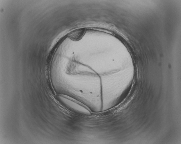 X0000067381501200604211554