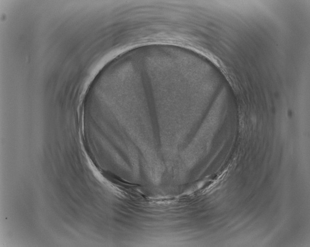 X0000067381515200604211554