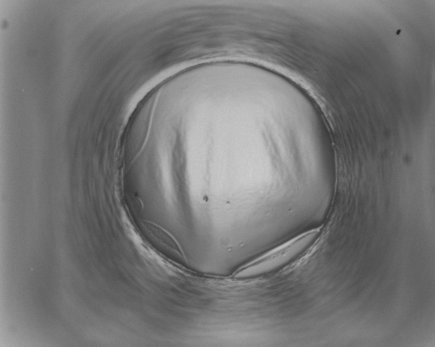 X0000067381534200604211555