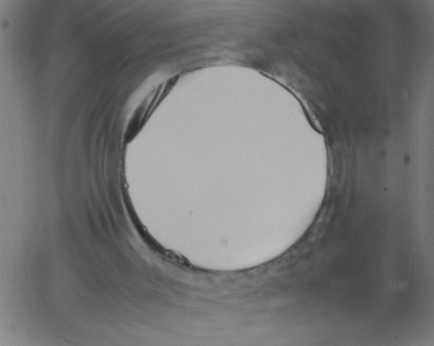 X0000067380003200604281828