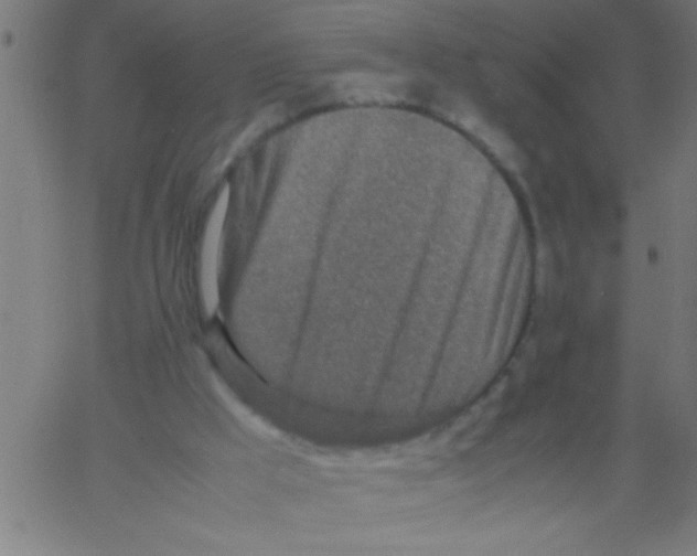 X0000067380009200604281828