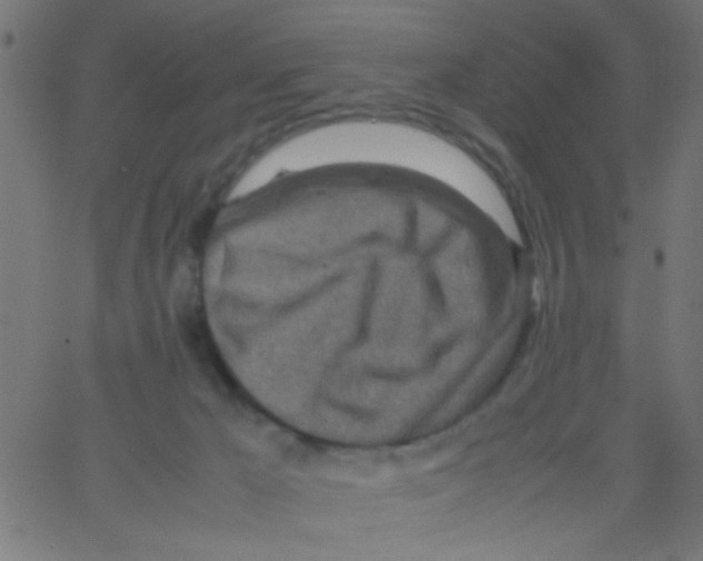 X0000067380029200604281828