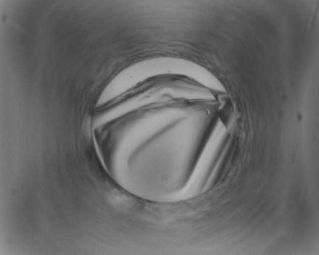 X0000067380041200604281828